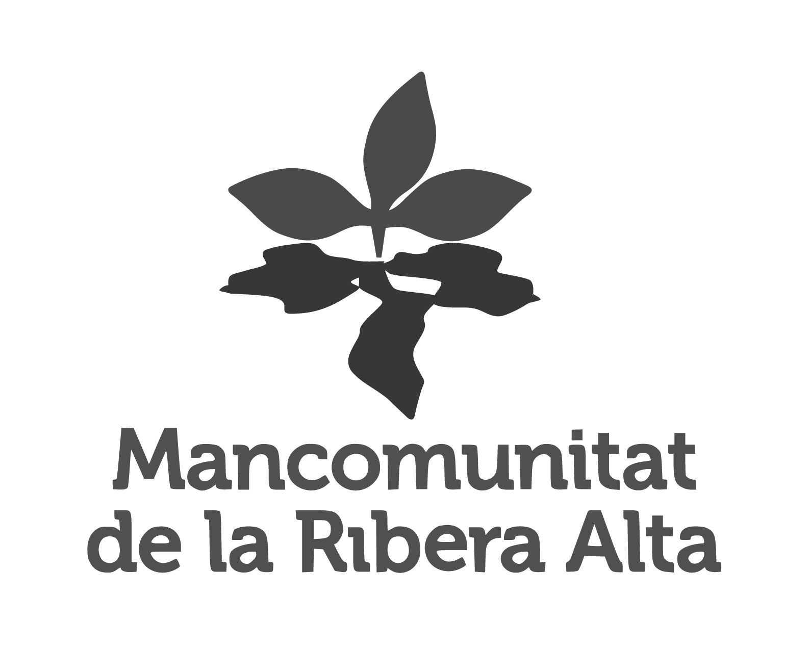 logo_agencia_igualtat